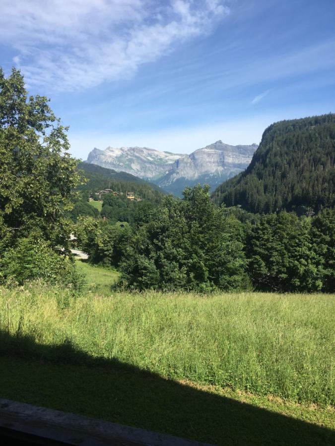 Vallee De Chamonix Au Pied Des Pistes 레우쉬 외부 사진