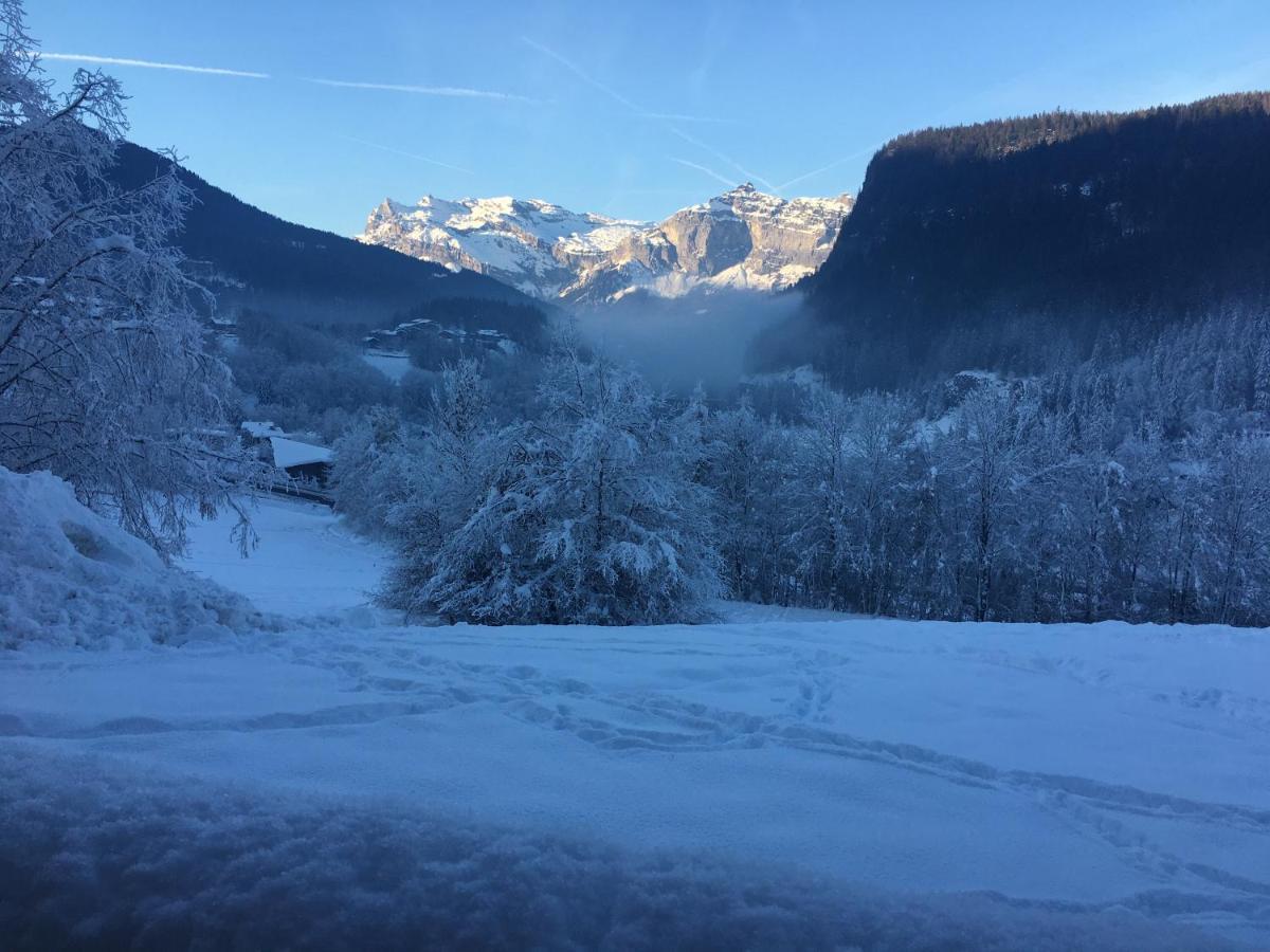Vallee De Chamonix Au Pied Des Pistes 레우쉬 외부 사진